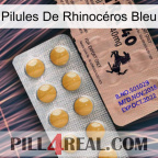 Pilules De Rhinocéros Bleu 41
